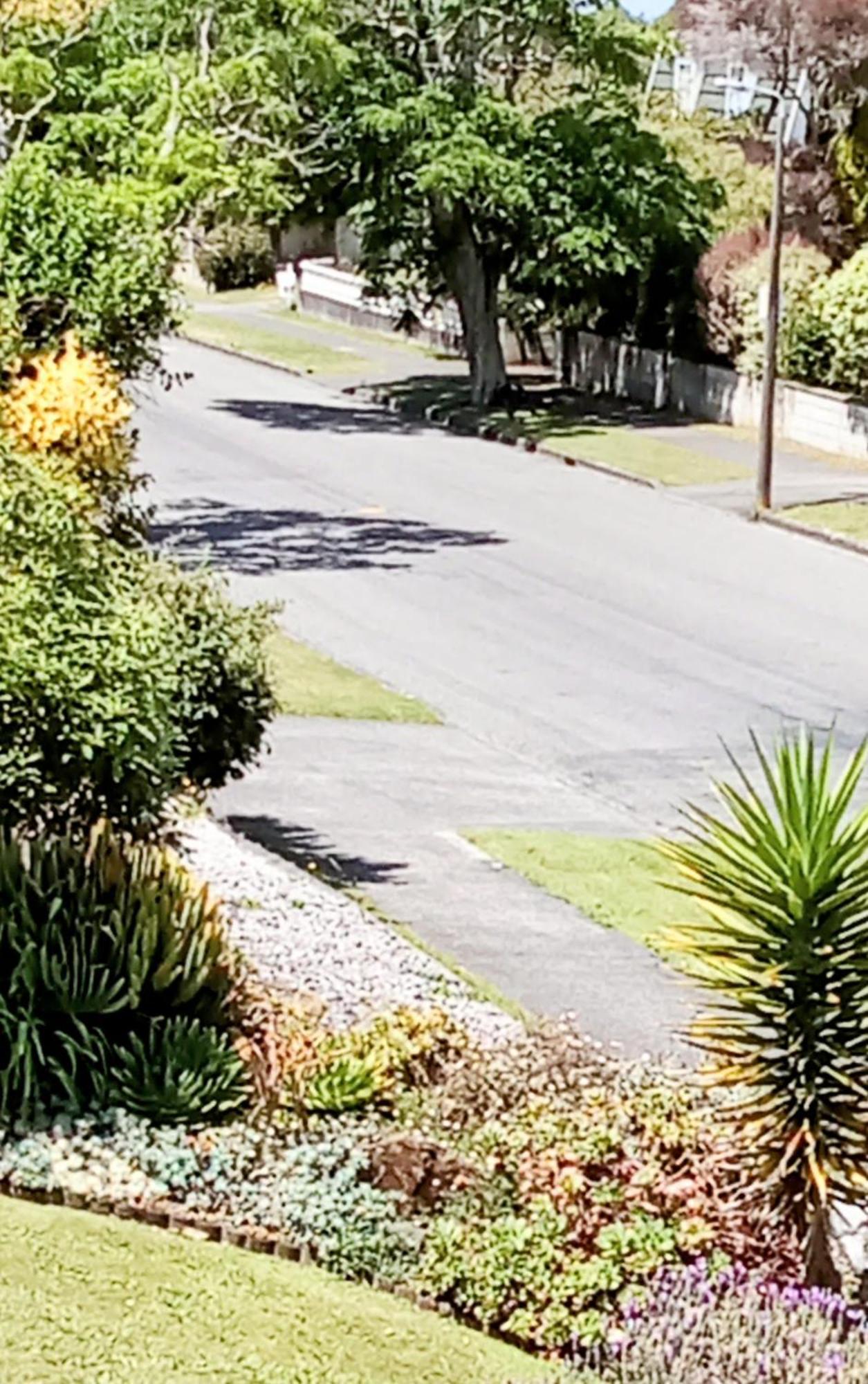 Park View 'Home Away From Home' Feilding Exteriör bild